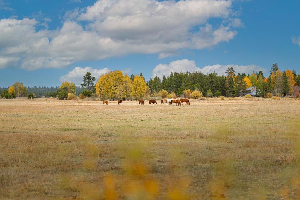 Coyote - Unit 15 Villa Sunriver Dış mekan fotoğraf